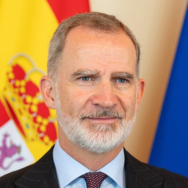 Portrait of Felipe VI of Spain